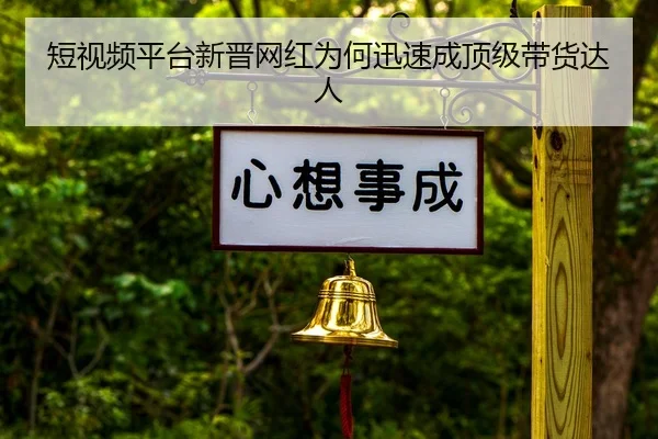 duan-shi-pin-ping-tai-xin-jin-wang-hong-wei-he-xun-su-cheng-ding-ji-dai-huo-da-ren-2-134.jpg